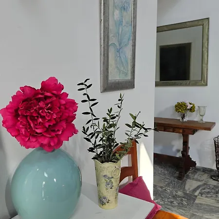 Casa Mama Lola Vila *